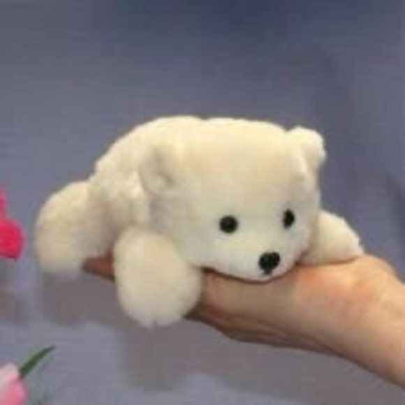 Meet your Posher, Safoora - Picture 1 of 1